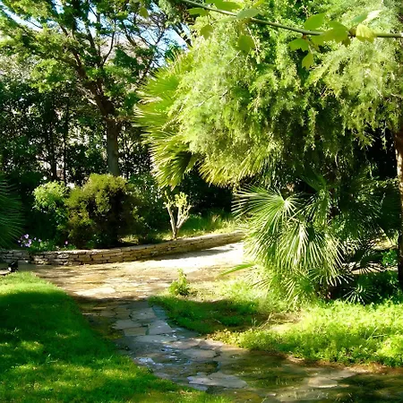 La Roka