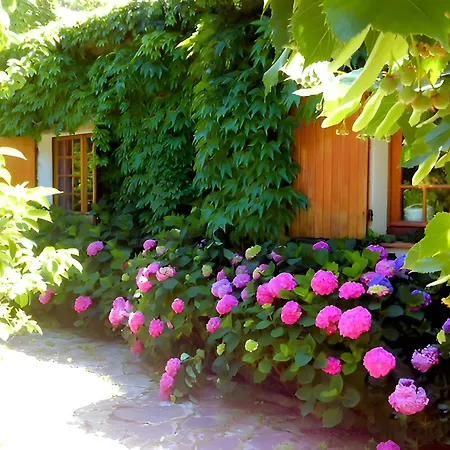 La Roka Six-Fours-les-Plages